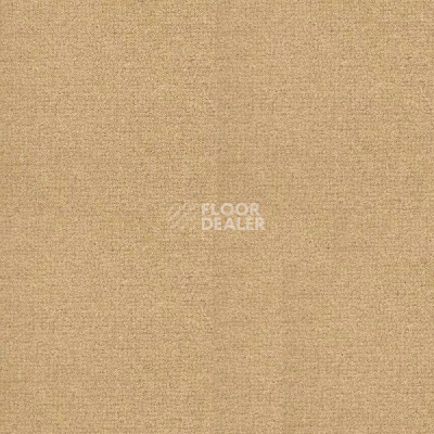 Ковролин Radici Abetone Straw 4978 фото 1 | FLOORDEALER